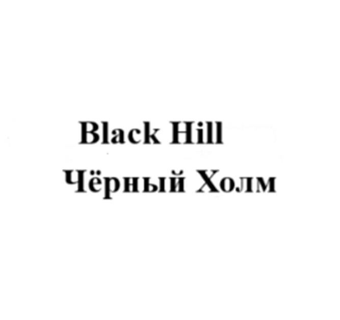 Заявка №2025727396