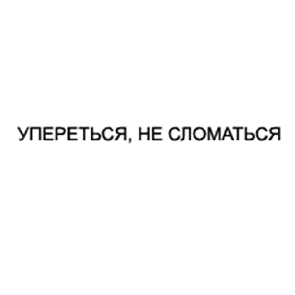Заявка №2025727632