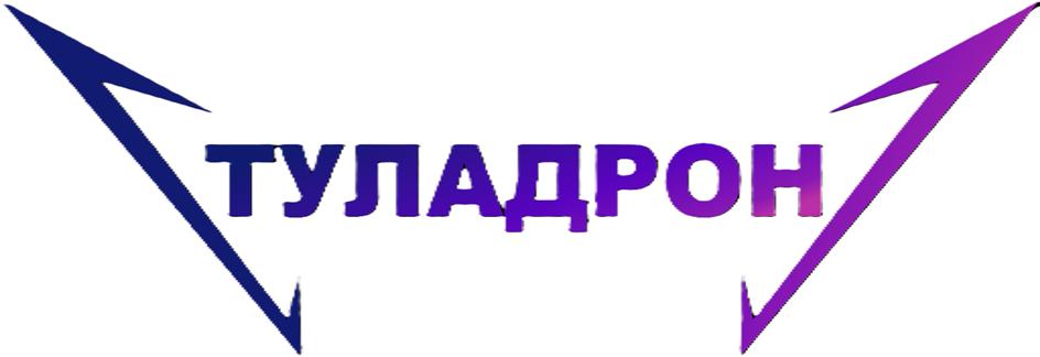 Заявка №2025729065