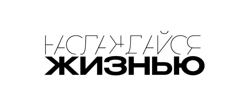 Заявка №2025729960