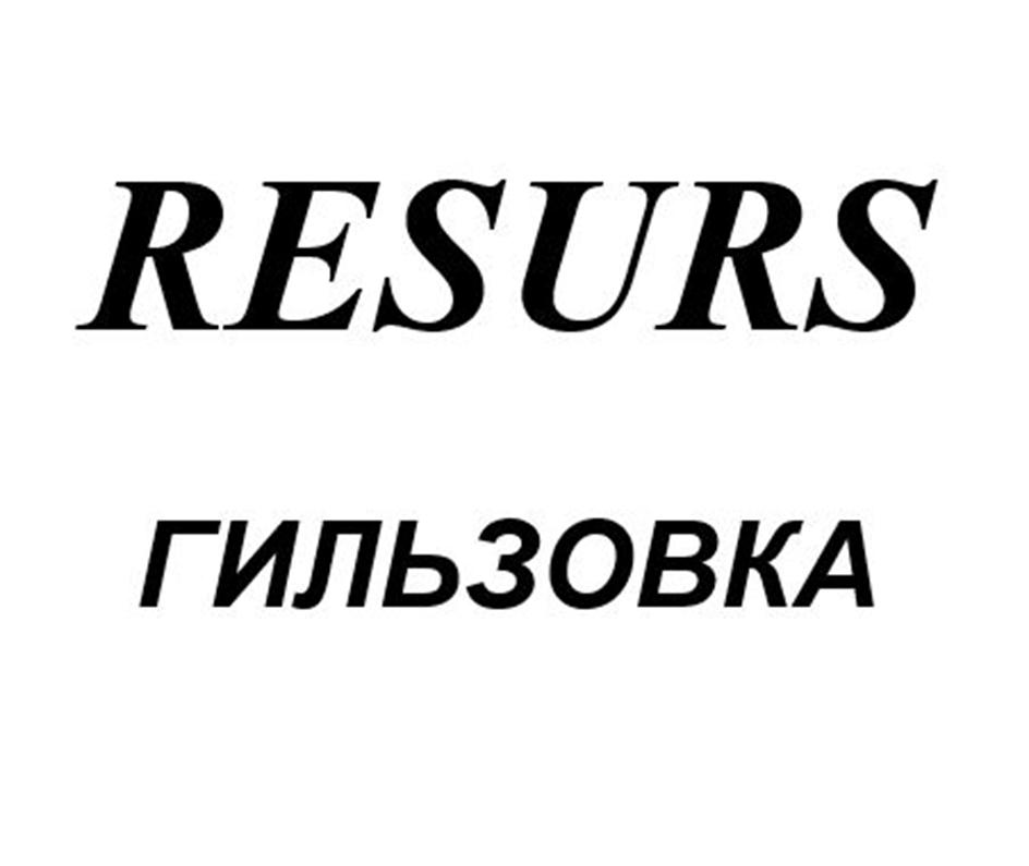Заявка №2025730289