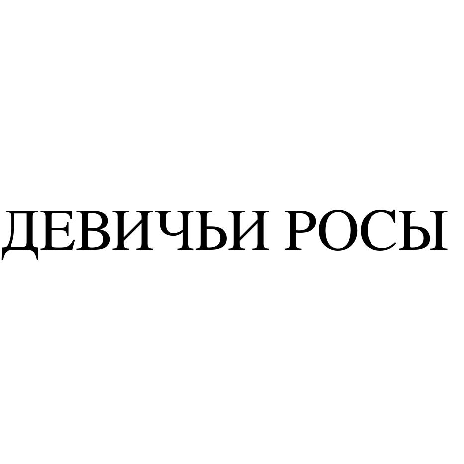Заявка №2025740523