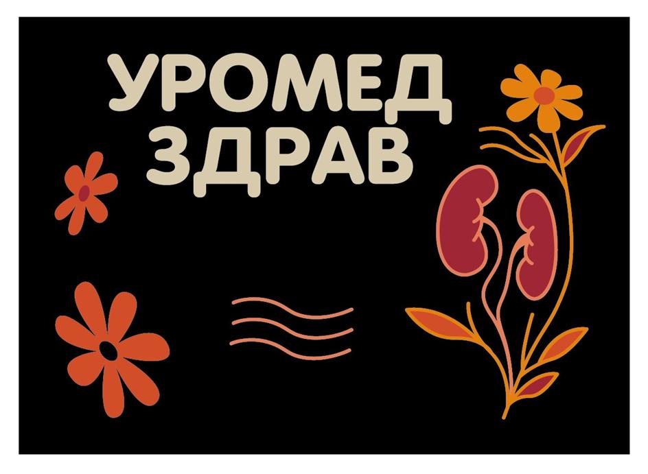 Заявка №2025742081