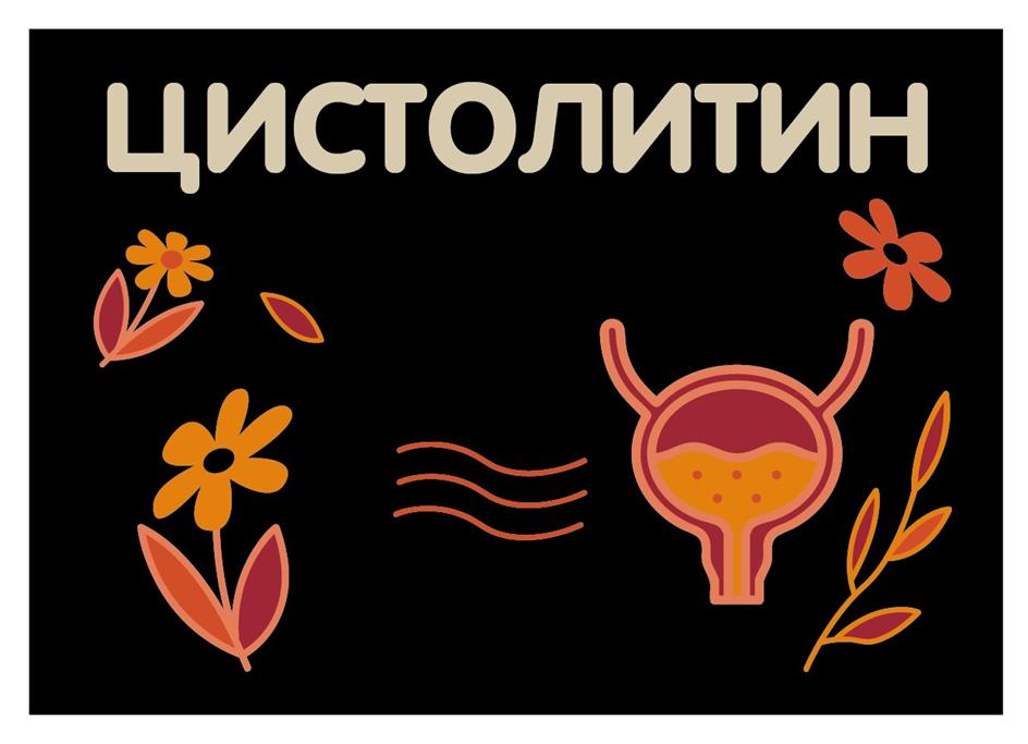 Заявка №2025742158