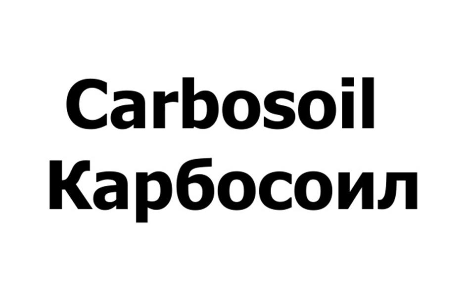 Заявка №2025743920