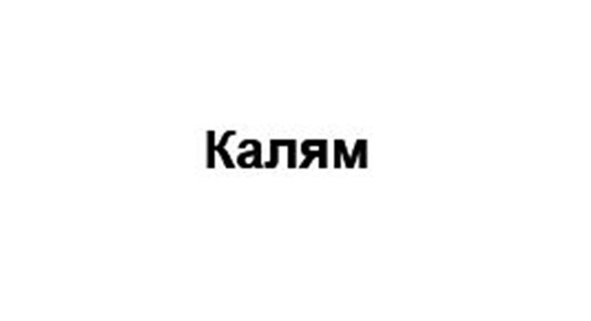 Заявка №2025745530