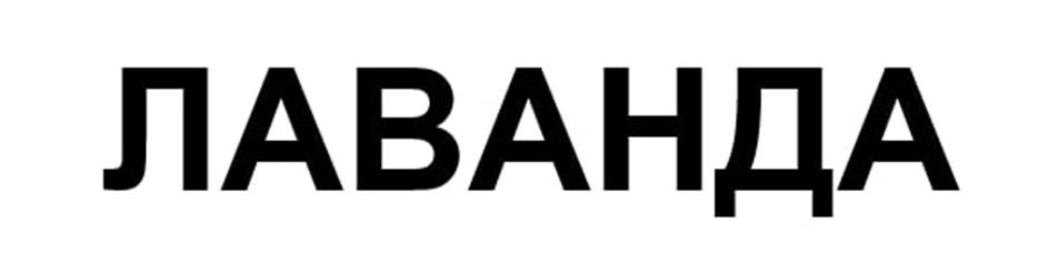 Заявка №2025745991